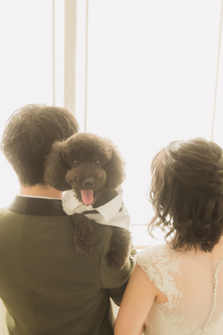ワンちゃんと一緒にウェディングフォト！