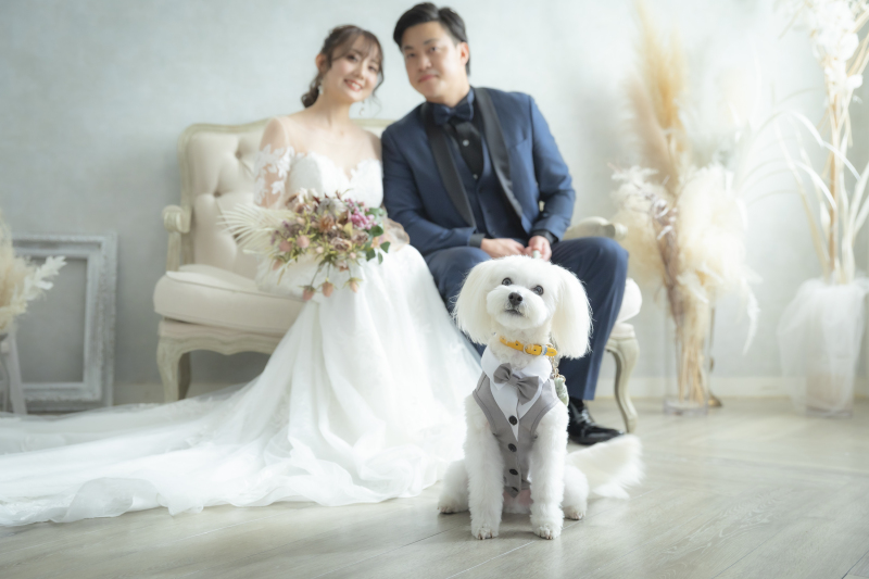やわらかい陽の光に包まれて…ワンちゃんと一緒にウェディングフォト♡