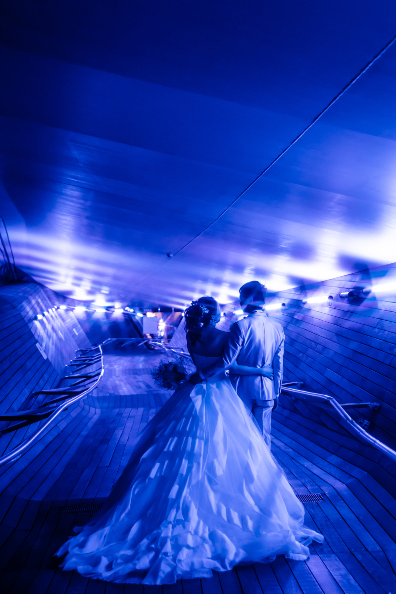 バックショット！