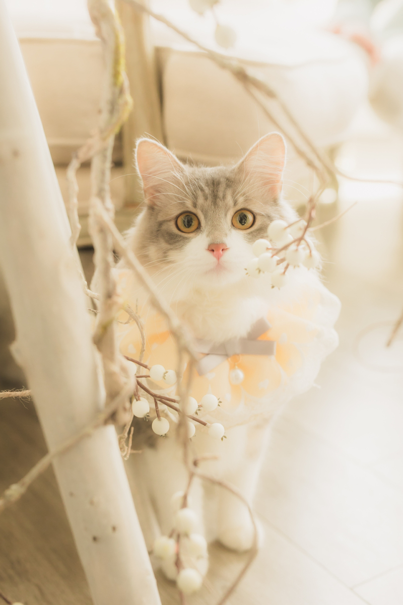 ソロショット♪