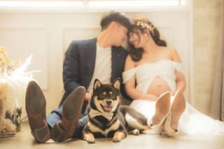 ♡ワンちゃんとマタニティフォト♡