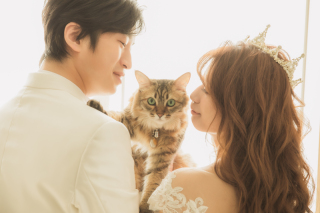 スタジオウェデイングフォト♡ウィズペット