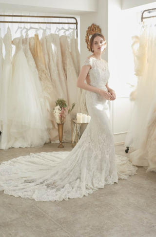 総レースマーメイドドレスao-wdrs-050942