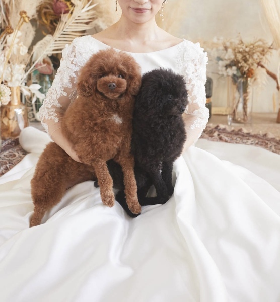 ワンチャンと一緒にウェディングフォト