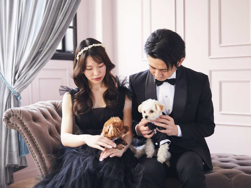 ペットウェディングフォト
