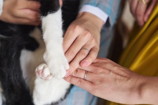 スタジオ　2着ペットと一緒にウエディングプラン