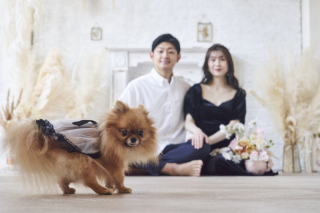 スタジオ撮影・ワンちゃんと一緒にマタニティフォト