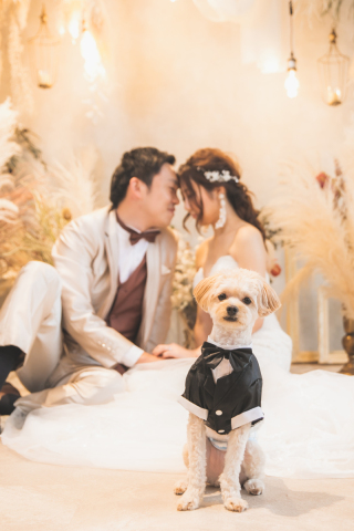 スタジオ撮影でワンちゃんと一緒に