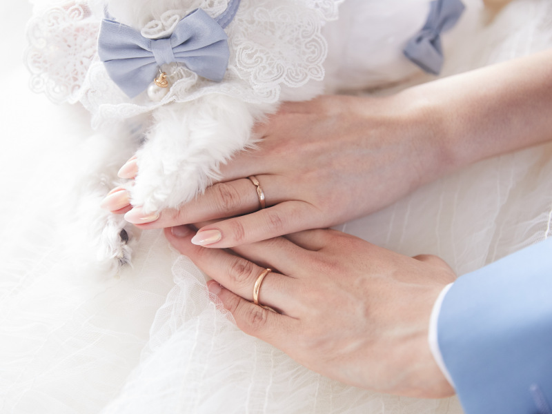 ペットとスタジオウエディングフォト