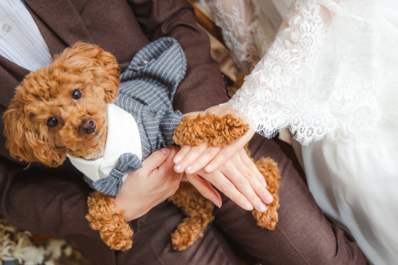 スタジオウエディングフォトペットと一緒に
