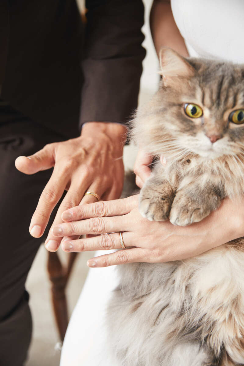 撮影中はみんなねこちゃんにメロメロ、、♡