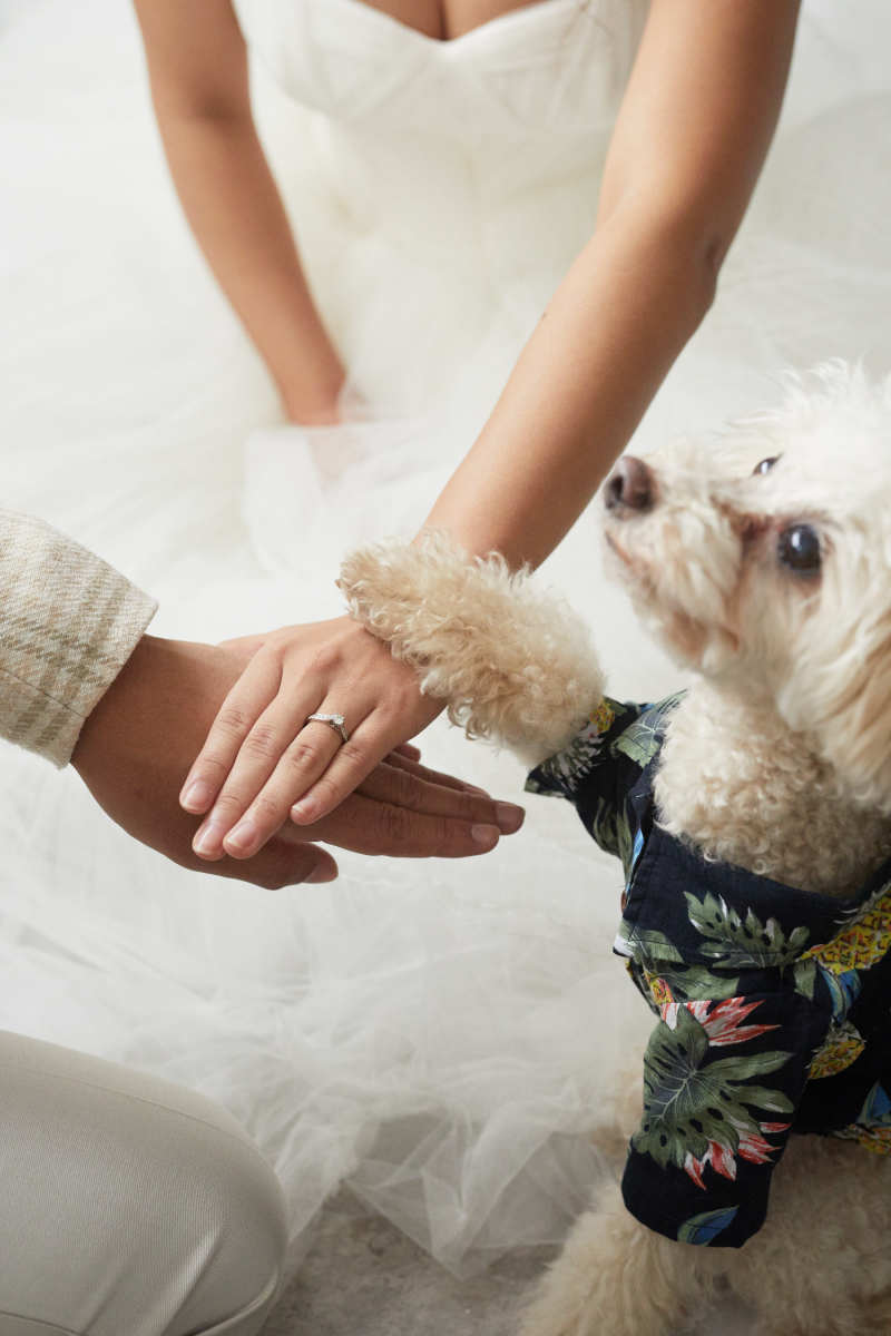 三人で手をあわせたカット