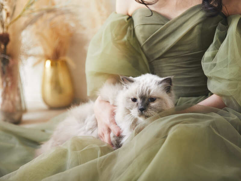 スタジオペットとウエディングフォト