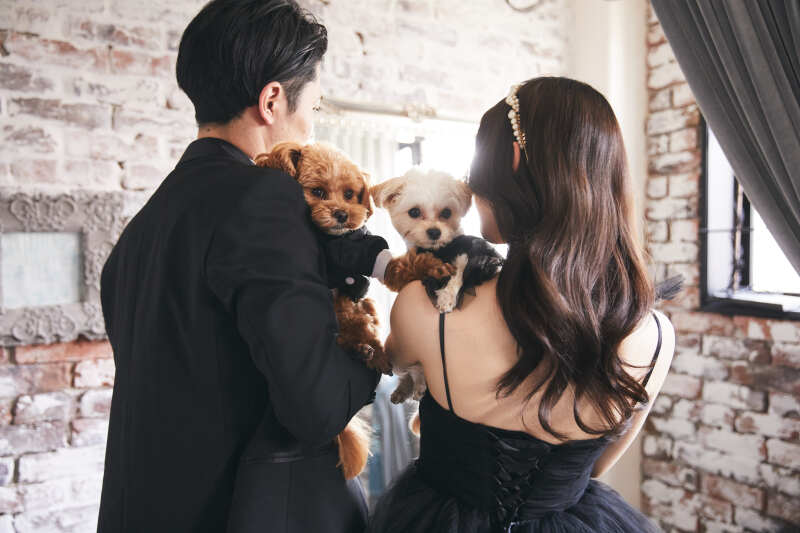 ペットウェディングフォト