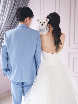 ペットとスタジオウエディングフォト