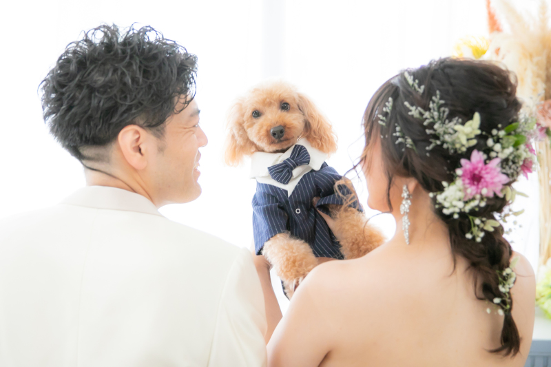 青山店スタジオ撮影・ペットと一緒に❤︎ウェディングフォト