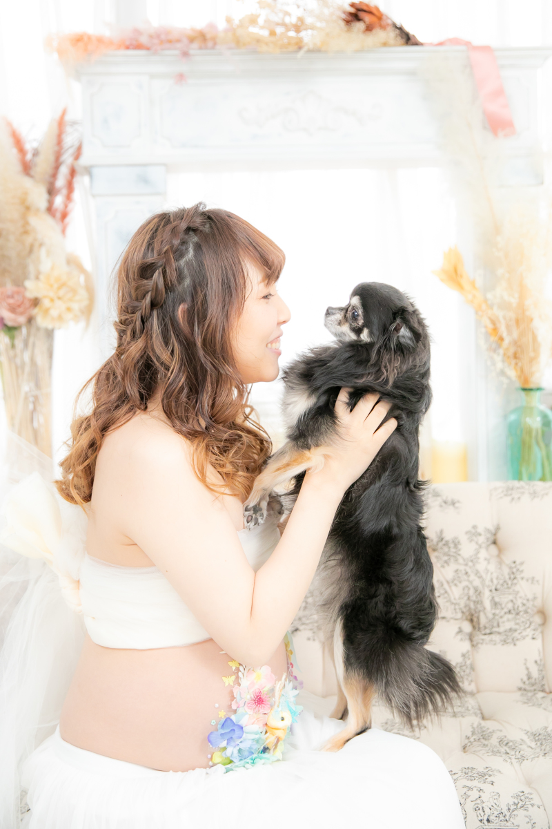 ワンちゃん登場！