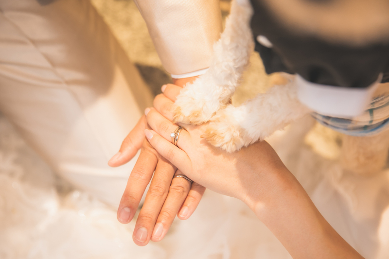 みんなで手を合わせて❤︎