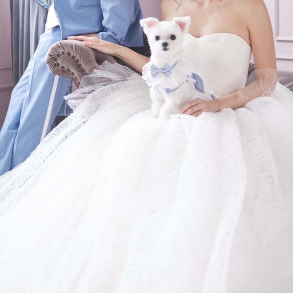 ペットとスタジオウエディングフォト