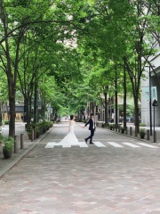 丸の内平日の昼間ロケーションフォト