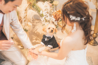 トレンドドレスでペット一緒にフォト♪（抱っこOK）