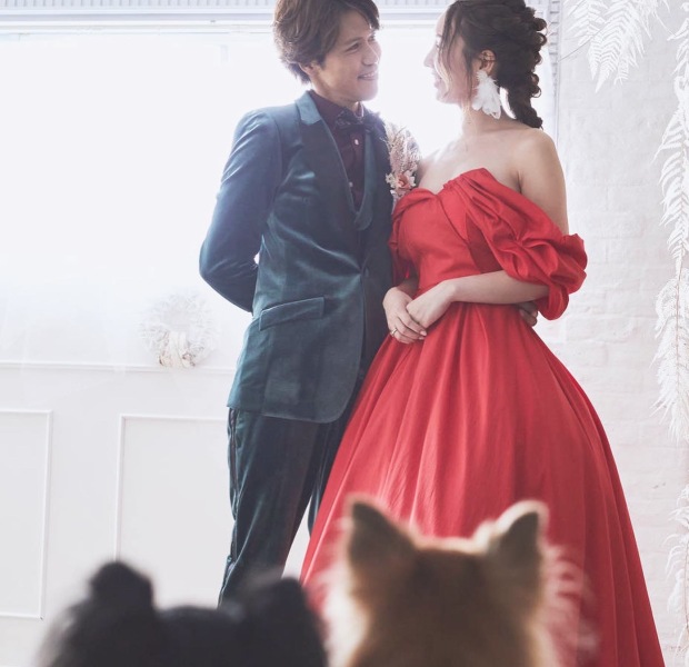 クリスマスに愛犬二匹と