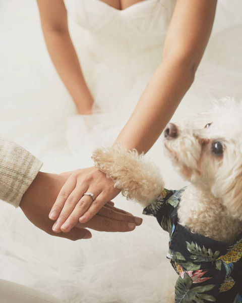 ドレリッチ表参道コレクション_ペットと一緒に撮影できる