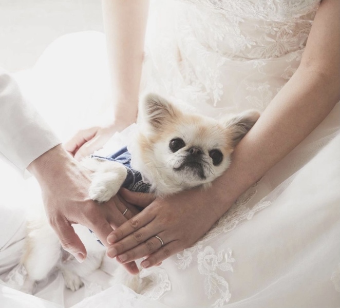 ドレリッチ表参道コレクション_ペットと一緒に撮影できる