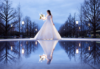 柔らかい光で、特別な瞬間をきりとれるよう心がけています。