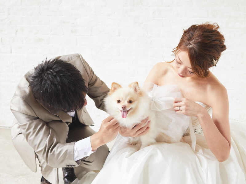 【年内撮影限定♥ペットプラン】インポートドレスで❤︎ウェディングフォト¥88000→¥79750|衣装選び〜撮影まで1日完結