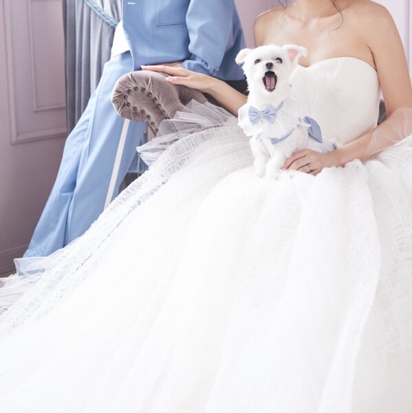 【年内撮影限定♥ペットプラン】インポートドレスで❤︎ウェディングフォト¥88000→¥79750|衣装選び〜撮影まで1日完結