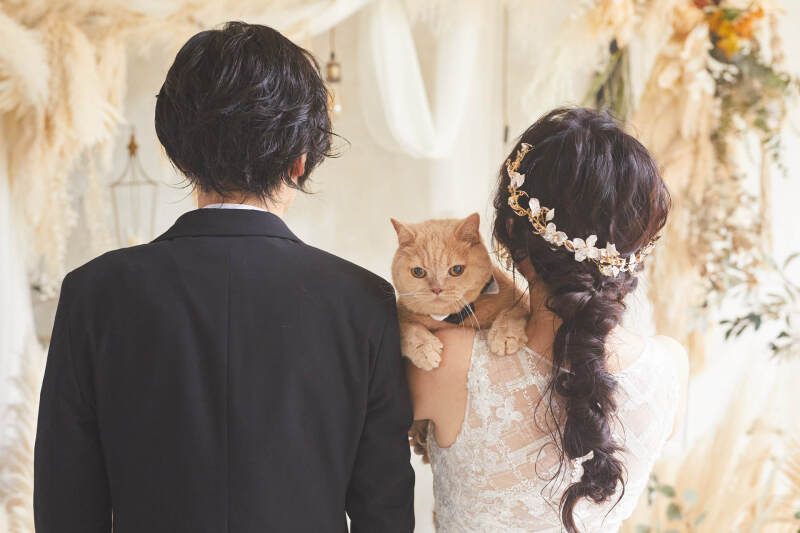 【10月末まで限定♥ペットプラン】インポートドレスで❤︎ウェディングフォト¥88000→¥79750｜衣装選び〜撮影まで1日完結