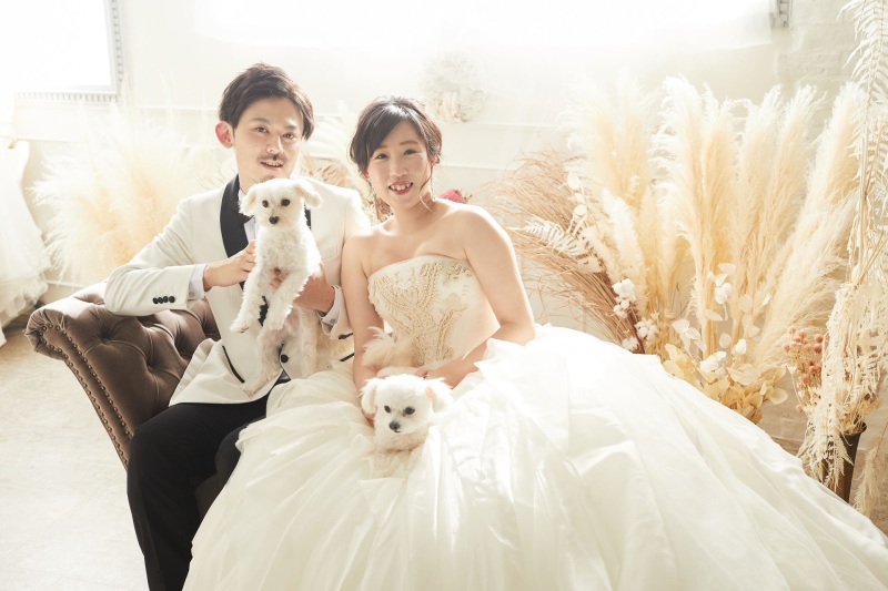【10月末まで限定♥ペットプラン】インポートドレスで❤︎ウェディングフォト¥88000→¥79750｜衣装選び〜撮影まで1日完結