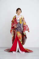 華飾飛翔幔幕紋