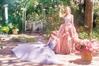 トレニア(lavender)