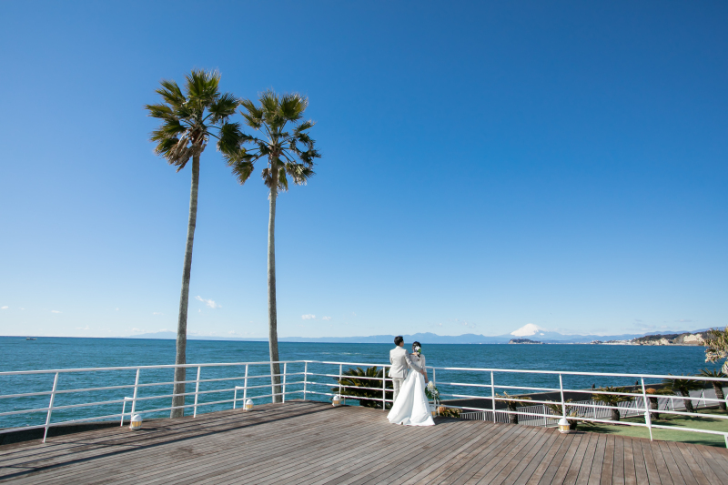 寄り添っているところを引きで撮影