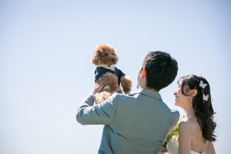 いつまでもお幸せに・・・