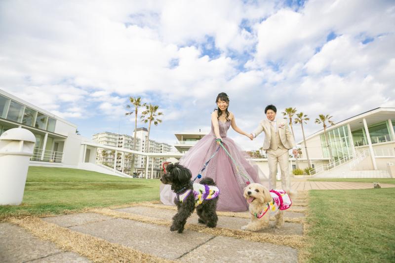 愛犬とのわくわくフォトウェディング