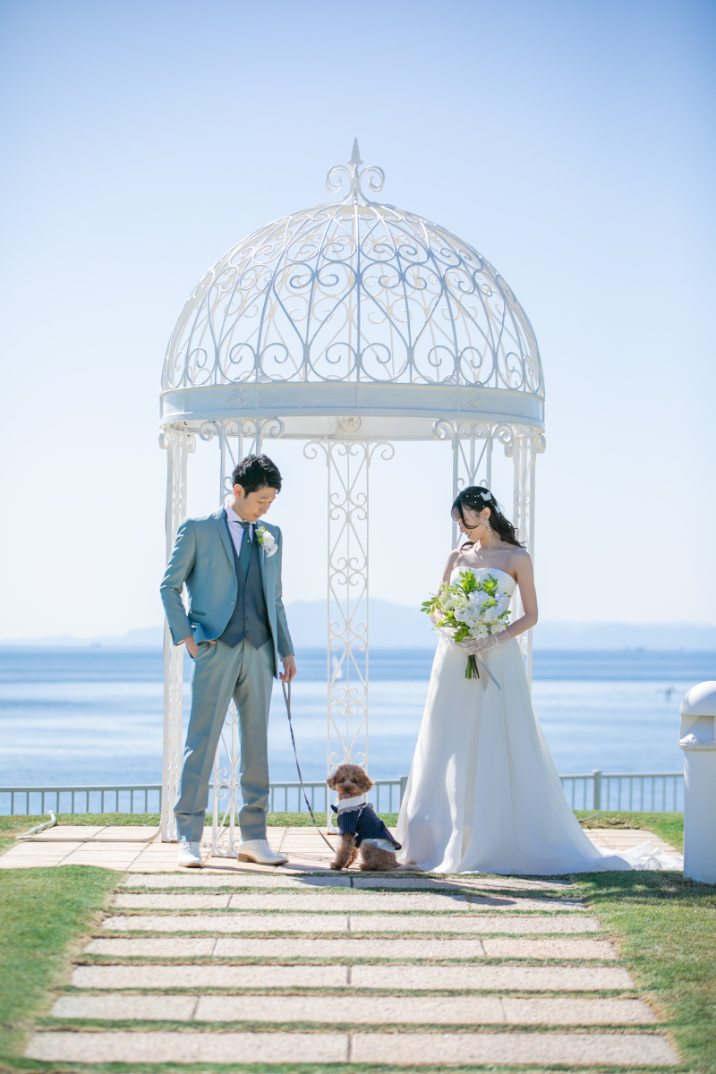 リビエラ逗子マリーナ_ペットと一緒に撮影できる