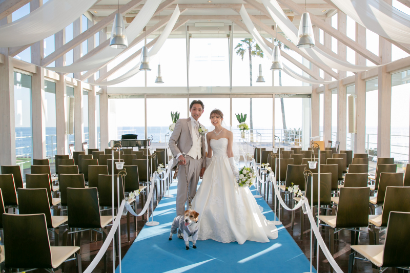 リビエラ逗子マリーナ_ペットと一緒に撮影できる