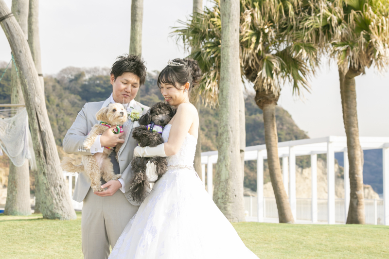 リビエラ逗子マリーナ_ペットと一緒に撮影できる