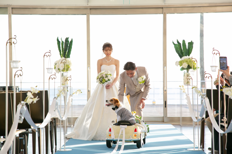 リビエラ逗子マリーナ_ペットと一緒に撮影できる