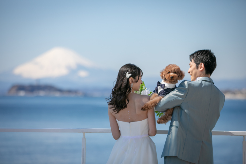 リビエラ逗子マリーナ_ペットと一緒に撮影できる