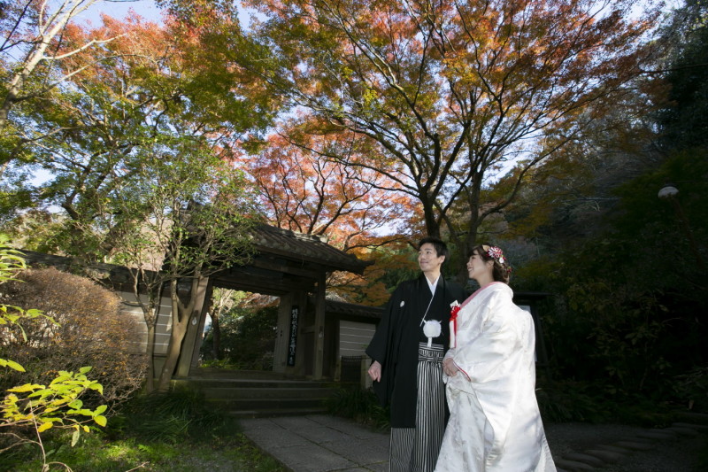 リビエラ逗子マリーナ_神社・寺院で撮影できる