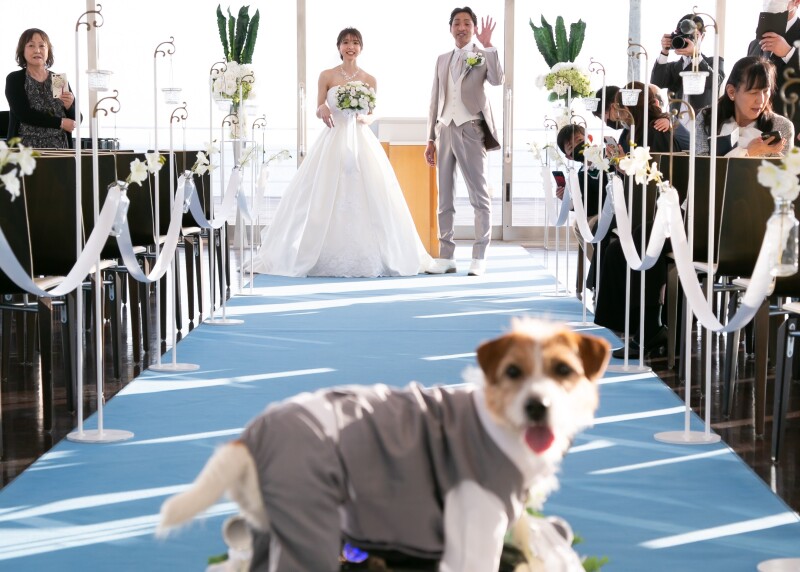 ★ペットと撮影もしたい方★愛犬フォトプラン（データ150カット・衣装・小物・美容・小物・ブーケ付き）