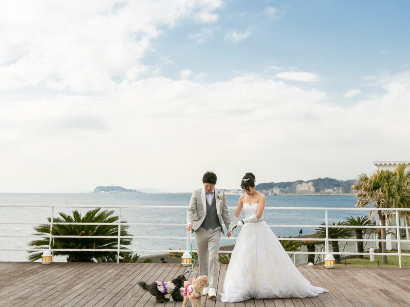 ★ペットと撮影もしたい方★愛犬フォトプラン（データ150カット・衣装・小物・美容・小物・ブーケ付き）