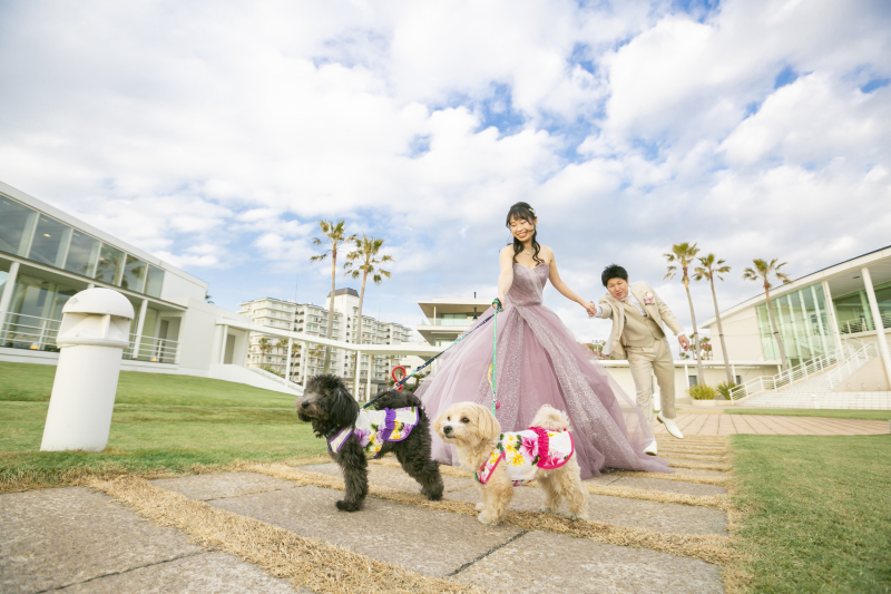 ★ペットと撮影もしたい方★愛犬フォトプラン（データ150カット・衣装・小物・美容・小物・ブーケ付き）