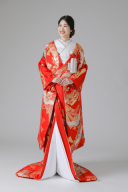 鶴・金糸束ね熨斗(IU04033)