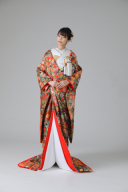 鳳凰扇面・枝垂れ桜・オレンジ・ブラウン(IU00590)