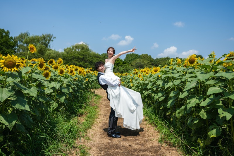 ひまわりロード